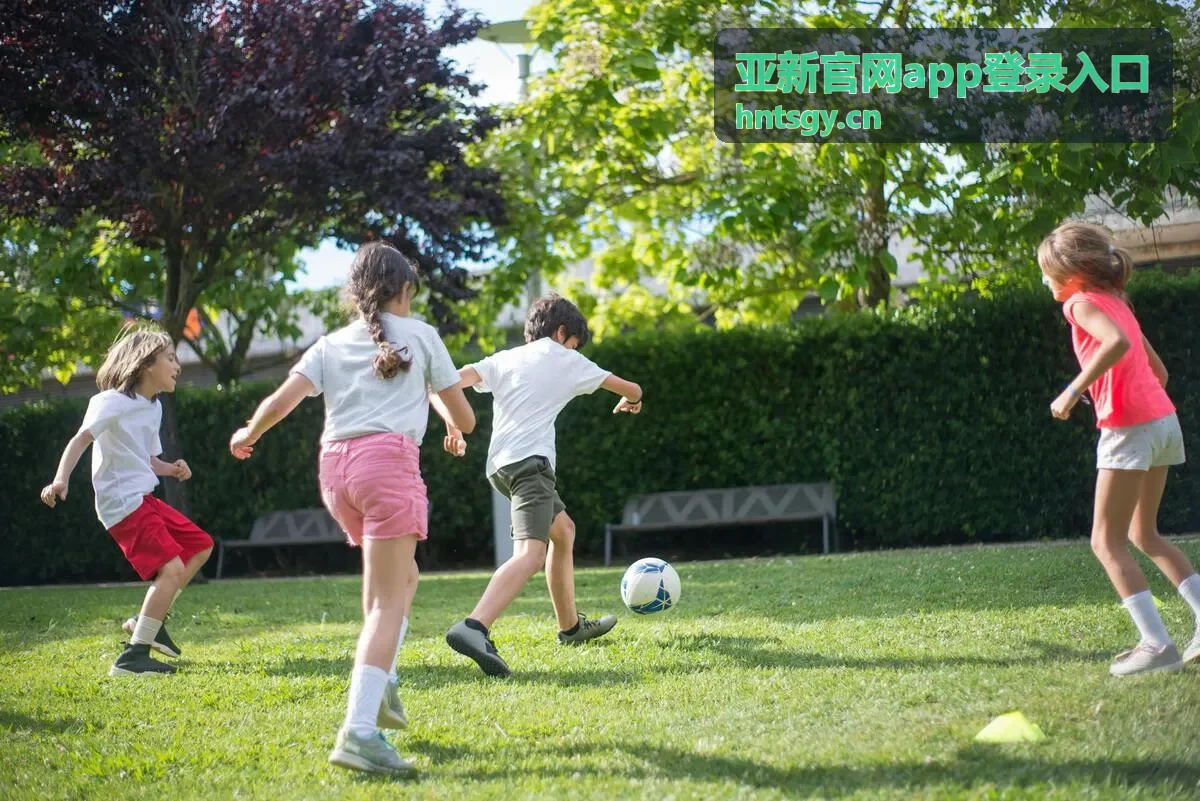 亚新官网app登录入口账号密码填写示意